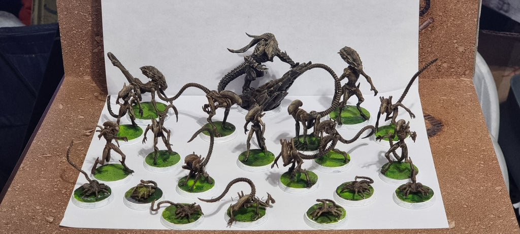 Xeno Inspired Fantasy Football Team